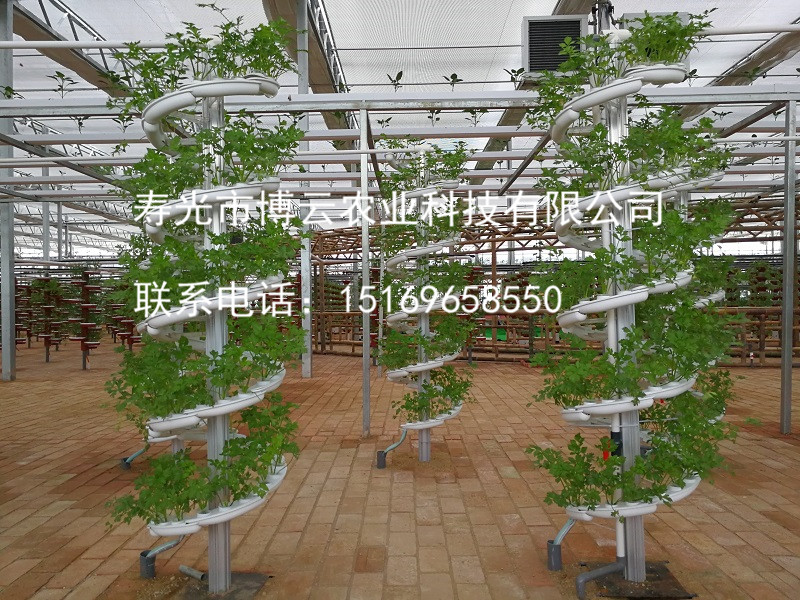 无土栽培工程之艺术螺旋水培项目 .jpg