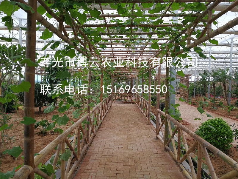 无土栽培之竹艺廊架基质栽培.jpg