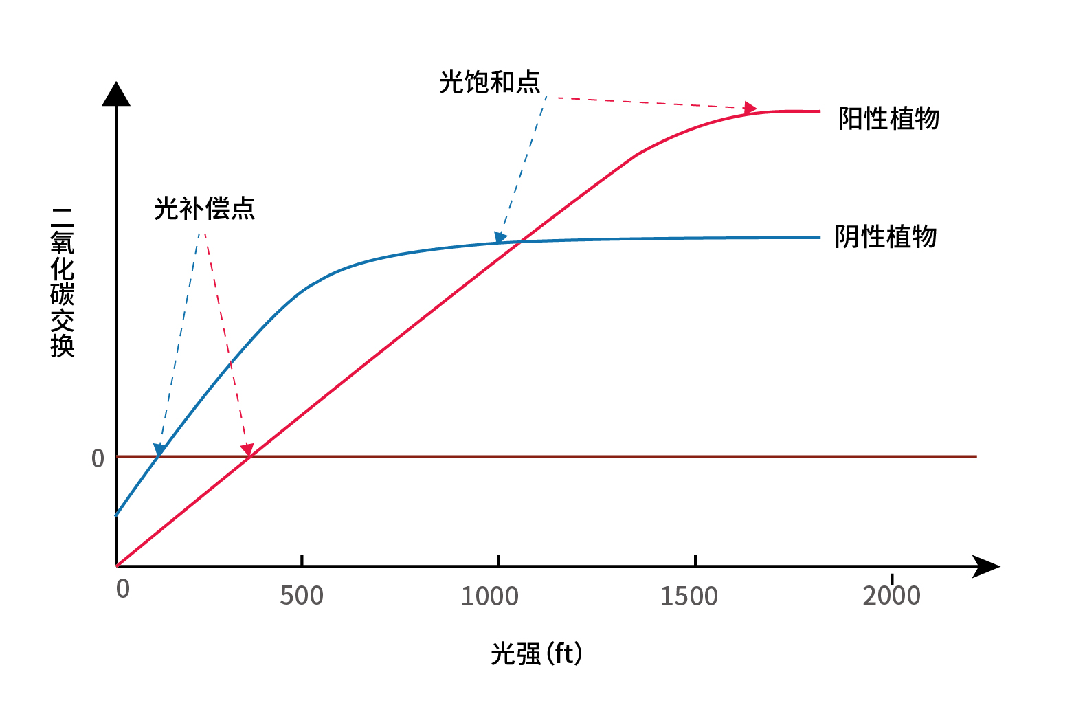 1650518908728734.jpg