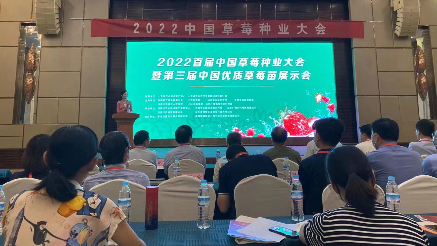 草(cǎo)莓种业大会.jpg