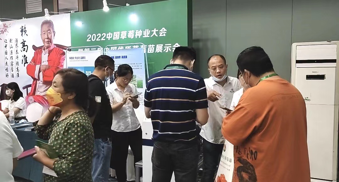 草(cǎo)莓种业技术大会.jpg