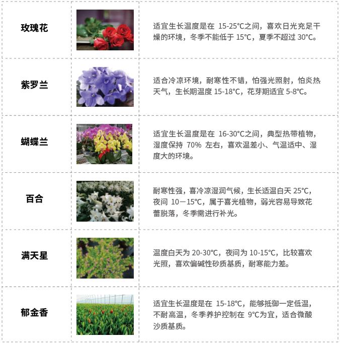 花(huā)卉水肥一體(tǐ)化.jpg