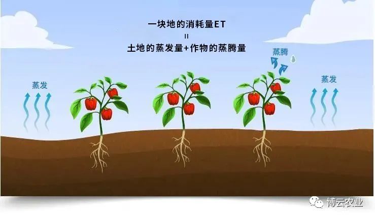 博云农业.jpg