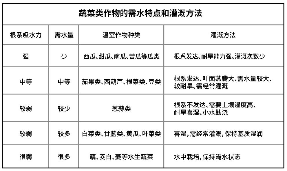 博云水肥一體(tǐ)化.jpg