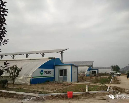 泰安昌盛日電(diàn)无土栽培项目