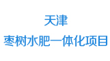 合作夥伴