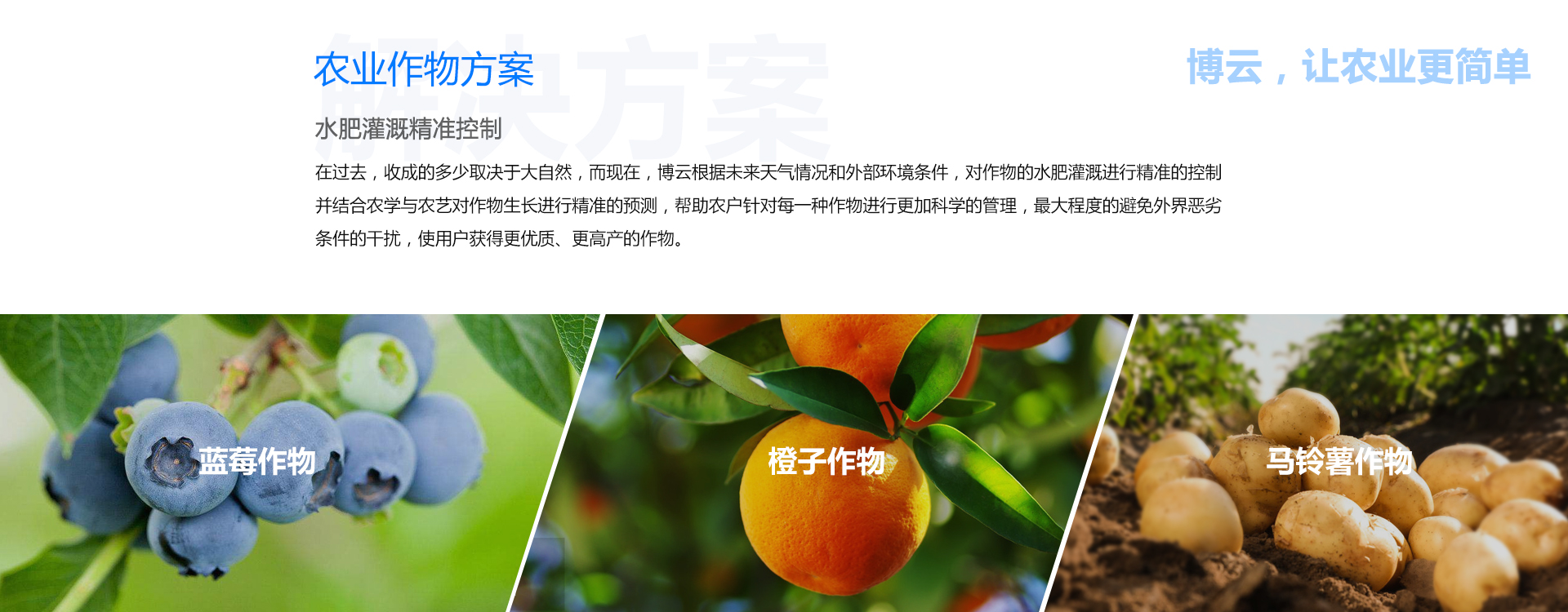 作物(wù)方案