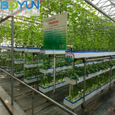 福建无土栽培工程之低段密植栽培 博云农业规划设计现代农业