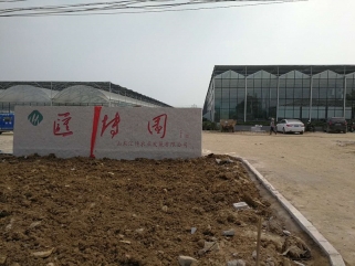 临沂沂水县无土栽培水肥一體(tǐ)化项目