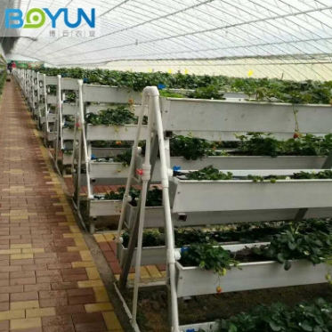 无土栽培草(cǎo)莓种植槽 加工定制 承接无土栽培设备设计安装及工程