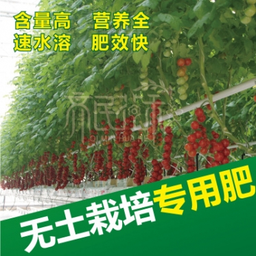 无土栽培椰糠岩棉水培专用(yòng)辣椒黄瓜番茄草(cǎo)莓专用(yòng)水溶肥