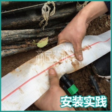 大棚滴管系统设计安装一體(tǐ)化 主管带 旁通 滴灌带