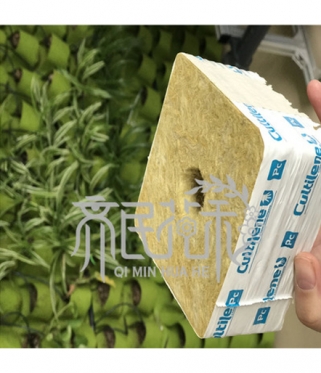 荷兰进口cultilene 无土栽培种植用(yòng)岩棉条岩棉块岩棉塞
