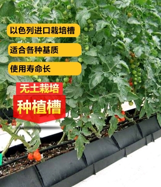 以色列进口无土栽培种植槽模式